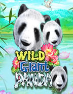 เดิมพันฟรี ทดลองเล่นสล็อตปลาทอง เปิดโลกใหม่แห่งความสนุก